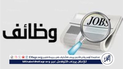 تصل إلى 4500 جنيها.. توافر 366 فرصة عمل بالقليوبية