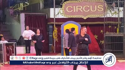 شعبة الجيزة بالسيرك القومي تقدم يوميًا برنامج فني كبير للجمهور 