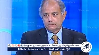 دبلوماسي سابق يكشف المغزى من تقدم مصر بمذكرة لـ 