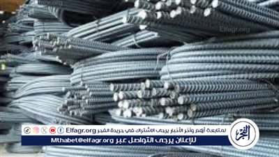 اسعار الحديد اليوم الثلاثاء الموافق 20 فبراير 2024