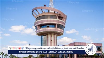 ميناء دمياط يستقبل 40 سفينه متنوعه خلال 24 ساعه 