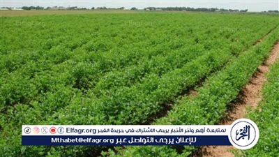 حماية الأمن الغذائي.. ما أهداف وتعديلات قانون الزراعة بعد إقراره؟