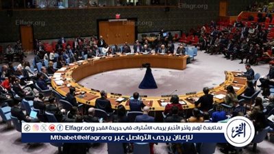 خبير علاقات دولية: مجلس الأمن مخترق ومصر مستمرة في إرسال المساعدات إلى غزة 