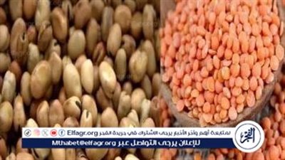 لجنة الزراعة بجمعية رجال الأعمال تكشف سبب ارتفاع سعر الفول البلدي عن المستورد