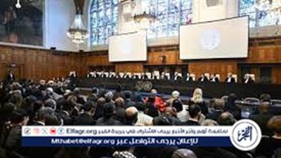 عاجل| مصر و10 دول آخرين يشاركون اليوم في المرافعة أمام العدل الدولية