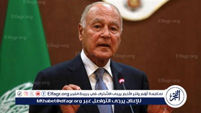 عاجل| أبو الغيط: حرمان الفلسطينيين من المساعدات المنقذة للحياة حكما بالإعدام وعقابا جماعيا