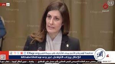 مصر أمام العدل الدولية: حرمان الشعب الفلسطينى من أرضه جريمة حرب