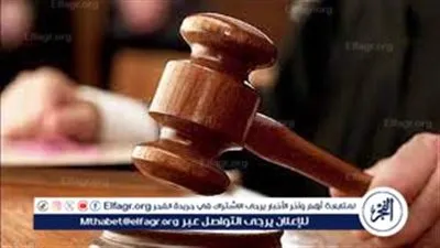 المؤبد لنجار مسلح لاتهامه بقتل زوجة شقيقه في الشرقية