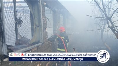 نفوق 6 آلاف دجاجة في حريق مزرعة دواجن بالبحيرة (صور)