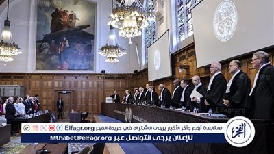 بعد جلسة محكمة العدل.. 