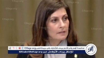 أستاذ علوم سياسية: مرافعة مصر أمام محكمة العدل الدولية فضحت إسرائيل