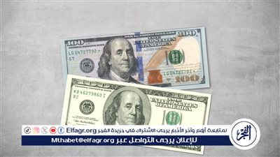 سعر شراء الدولار اليوم الخميس 22-2- 2024 محافظة الإسكندرية