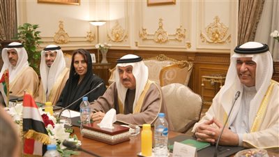 رئيس المجلس الوطني الاتحادي يشيد بجهود مصر لتخفيف معاناة الشعب الفلسطيني وغزة 