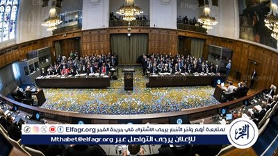 عاجل| الفريق القانوني لألمانيا: نقدم الدعم لإسرائيل بالأسلحة والمعدات العسكرية في حربها بغزة