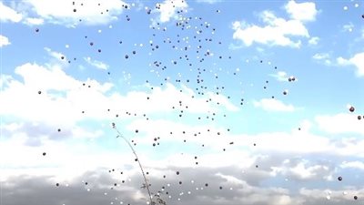 بالونات الفرحة بيوم التأسيس تزين السماء السعودية