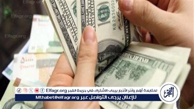 أستاذ اقتصاد: ارتباك حاد في أسعار الصرف بالسوق الموازية منذ الإعلان عن الصفقة الكبرى
