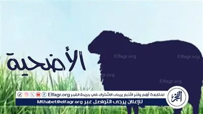  سبب الأضحية في الإسلام.. من الأصول الدينية إلى القيم الاجتماعية