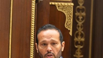 محمد حلاوة: الشراكة بين مصر والإمارات في تطوير مشروع رأس الحكمة تسهم فى سد الفجوة الدولارية