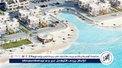 مجلس الوزراء: بذلنا جهدا خرافيا في إتمام صفقة رأس الحكمة