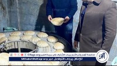  تحرير 303 محضر لمخالفات بالأسواق والمخابر بالإسكندرية
