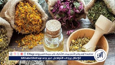 أعشاب البرد.. تعرف على فوائد أعشاب البرد