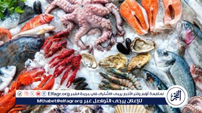 الجامبو وصل 500 جنيه.. أسعار السمك اليوم السبت 24 فبراير في الأسواق المصرية 