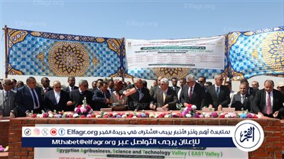 رئيس جامعة المنصورة يشارك بوضع حجر أساس مشروع أرض الجامعات المصرية بالوادى الجديد