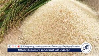 إحالة مخالفات جمعية منتجي الأرز والقمح للنيابة العامة.. وزير الزراعة يكشف حجم التجاوزات وخطة الإصلاح