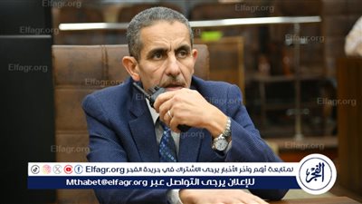 تفاصيل جديدة.. آخر مستجدات إزالة التعديات في محافظة الغربية