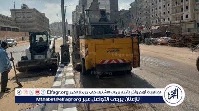 معدات 5 وحدات محلية تشارك المنصورة لرفع 660 طن قمامة ومخلفات من شوارعها 