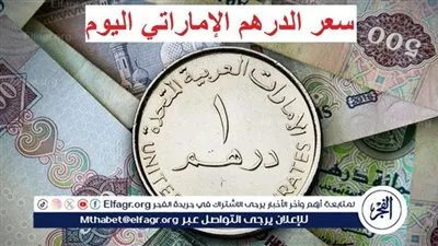 أسعار الدرهم الإماراتي أمام الجنيه اليوم الأحد في البنوك وشركات الصرافة في المنيا