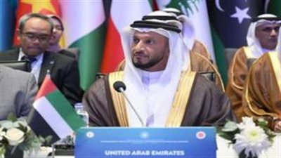 الإمارات تدعو لتكثيف التعاون الدولي لإنهاء الأزمة في غزة