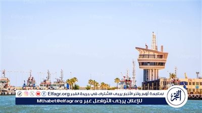 ميناء دمياط يستقبل 42 سفينه متنوعه خلال 24 ساعه