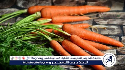 فوائد الجزر للجسم: تعرف على قيمته الغذائية والصحية 