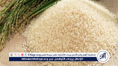 سعر الأرز الشعير اليوم الاثنين 26 فبراير في الأسواق المصرية 