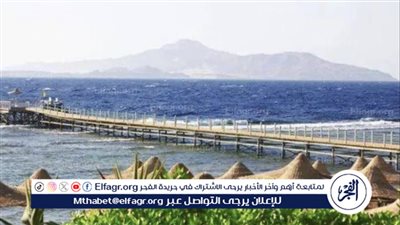 متحدث الحكومة يكشف تفاصيل طرح رأس جميلة للاستثمار (فيديو)