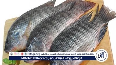 أسعار الأسماك اليوم الثلاثاء فى محافظة الغربية 