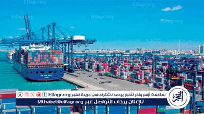 هل تؤثر خطة الإفراج التدريجي عن السلع في الجمارك على خفض الأسعار؟.. خبراء اقتصاد يجيبون