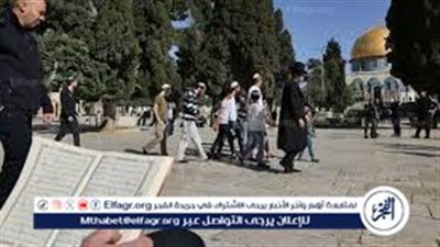 فيديو.. سامي إسكندر يرصد الأجواء بالمسجد الأقصى قبل رمضان