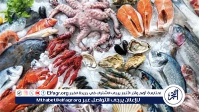أسعار السمك والجمبري اليوم الأربعاء 28 فبراير في الأسواق ومعارض