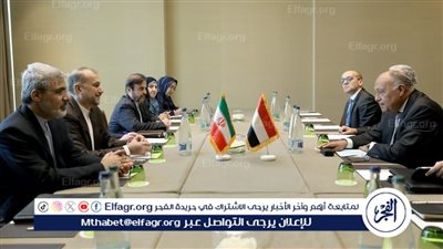 عاجل| وزير الخارجية يلتقي نظيره الإيراني على هامش مؤتمر نزع السلاح بجنيف