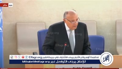 شكري: مصر تسير بخطى ثابتة لتعزيز حماية حقوق الإنسان بمفهومها الشامل (فيديو)