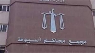 تأجيل محاكمة مسن لاتهامه بقتل والده إثر خلافات أسرية بمركز القوصية بأسيوط لدور أبريل المقبل