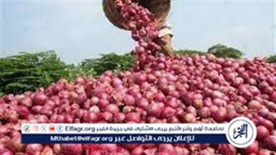 استقرار أسعار الخضراوات في الأسواق المصرية وارتفاع سعر البصل إلى 27 جنيهًا للكيلو