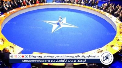مسؤول في الناتو يكشف سبب رفض الحلف منح عضوية كاملة لأوكرانيا
