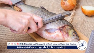 بعد رفع الفائدة.. أسعار السمك والجمبري اليوم الخميس 7 مارس بأسواق العبور