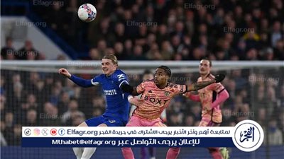 كارثة مروعة.. سقوط مشجع من مدرجات ملعب تشيلسي