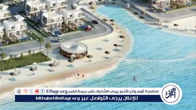 أستاذ اقتصاد بعد رأس الحكمة يزف أخبارًا سارة للمصريين (فيديو)