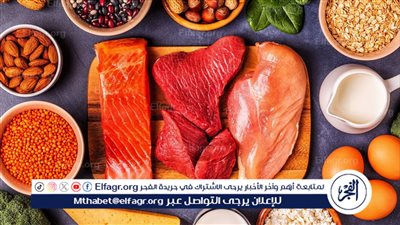  أهمية تناول البروتينات في الغذاء اليومي 