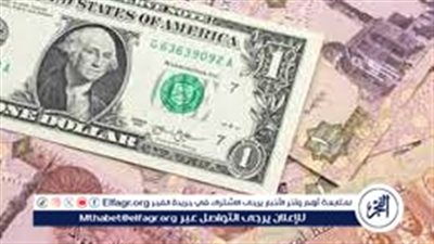 تطور أسعار الدولار مقابل الجنيه المصري في الأسواق المصرية